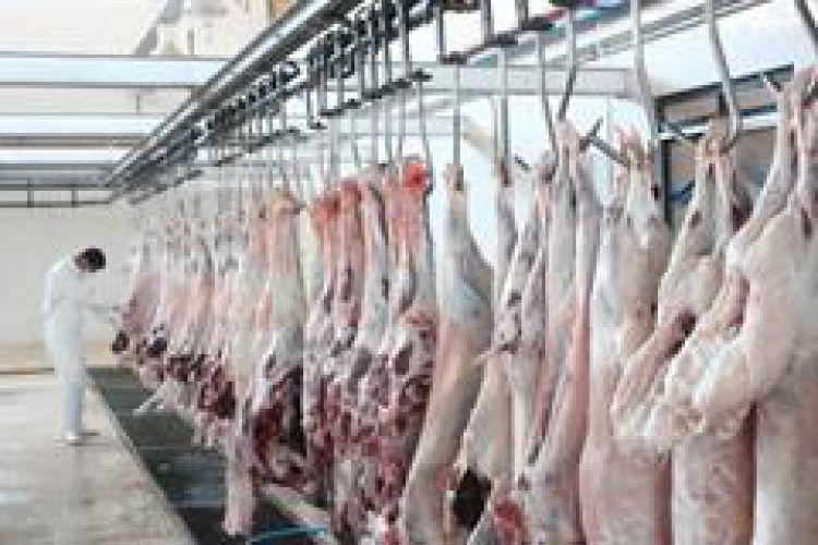  عرضه گوشت قرمز در کشتارگاه‌های رسمی کشور در اسفند 1400 به 54,3 هزار تن رسید