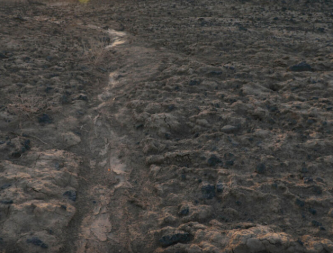 فعالیت‌های مضر معدنی، شرایط تالاب گاوخونی را بحرانی‌تر می‌کند