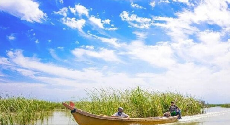 باران به داد «هور» رسید باران به داد «هور» رسید
