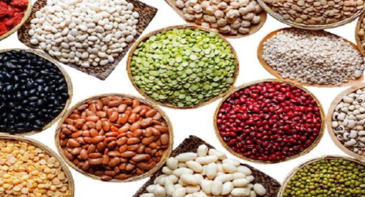 بازار حبوبات آرام گرفت؛ قیمتها 20 تا 25 درصد پایین آمد بازار حبوبات آرام گرفت؛ قیمتها 20 تا 25 درصد پایین آمد