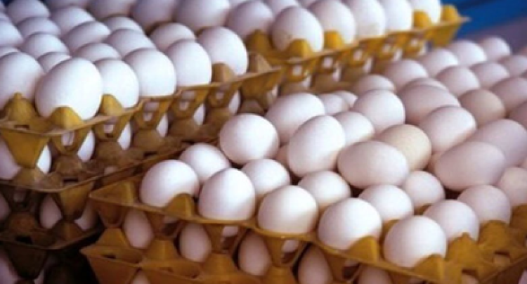تخم مرغ 40 درصد کمتر از قیمت تمام شده تولید توزیع می‌شود