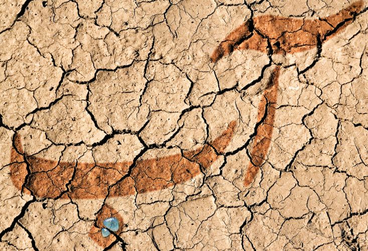 خشک ترین سال نیم قرن اخیر به پایان رسید/سال سختی در پیش است  