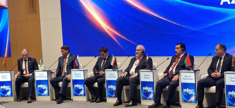 توسعه صنعت برق ایران در مسیر درست قرار دارد/ آمادگی برای گسترش اتصال الکتریکی با کشورهای منطقه