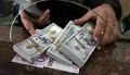 افزایش قیمت انواع ارز در مرکز مبادله ایران  