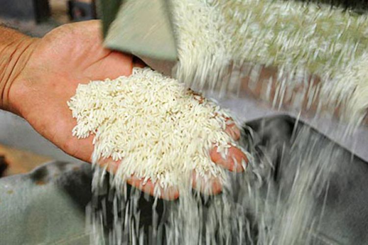  اعتراض گمرک به ممنوعیت جدید واردات برنج