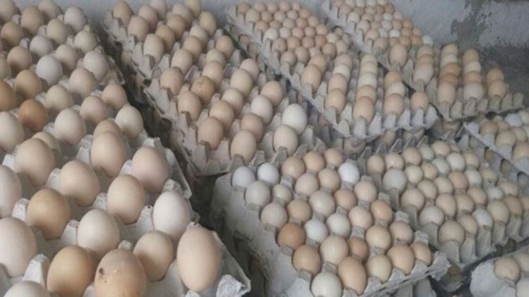 10 هزار تن تخم مرغ وارد می شود/ تعادل قیمت تا دو هفته دیگر