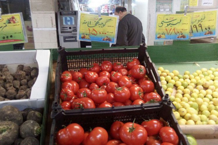  قیمت گوجه در بازار شکسته شد