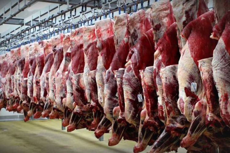  اعلام قیمت جدید گوشت گوسفندی