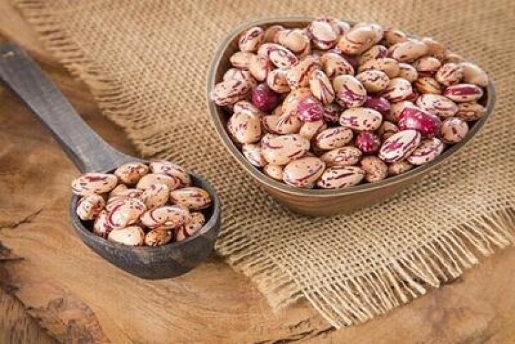 دلایل گرانی غیرعادی قیمت لوبیا چیتی/ «حباب» به حبوبات هم رسید!
