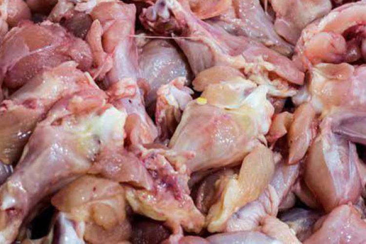  بررسی قیمت مرغ در بازار