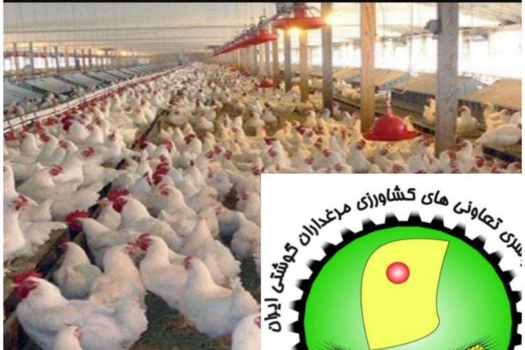 رفع موانع عضویت فعالان حقیقی و حقوقی صنعت طیور در اتحادیه‌ها و شرکت‌های تعاونی مرغداران گوشتی کشور