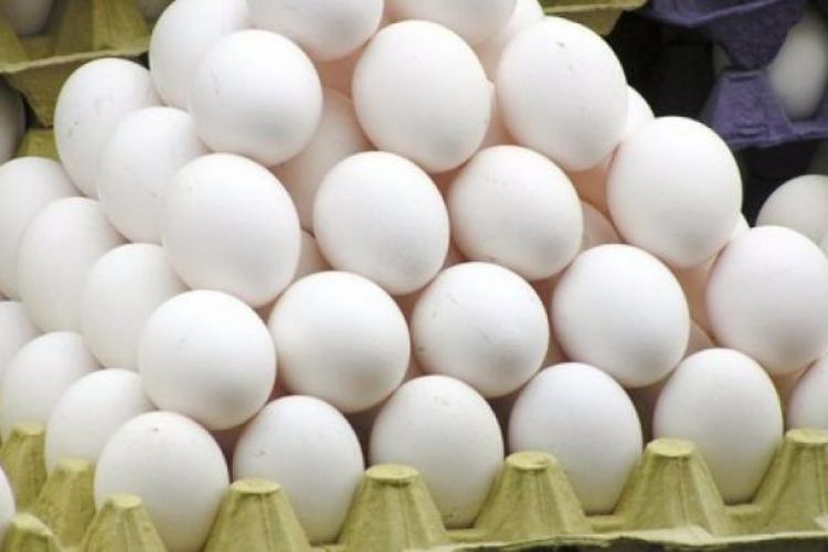  فروش تخم‌مرغ، ارزان‌تر از نرخ مصوب