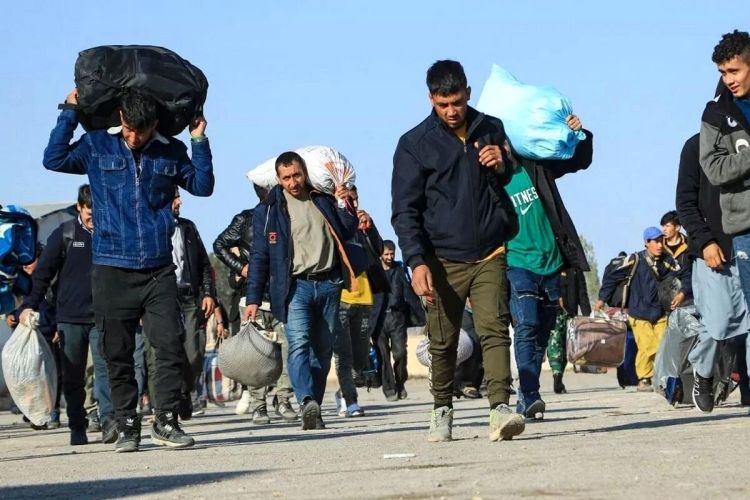 مدیرکل اتباع وزارت کشور: بیش از 80 درصد افراد غیرمجاز درحال خروج خودمعرف هستند