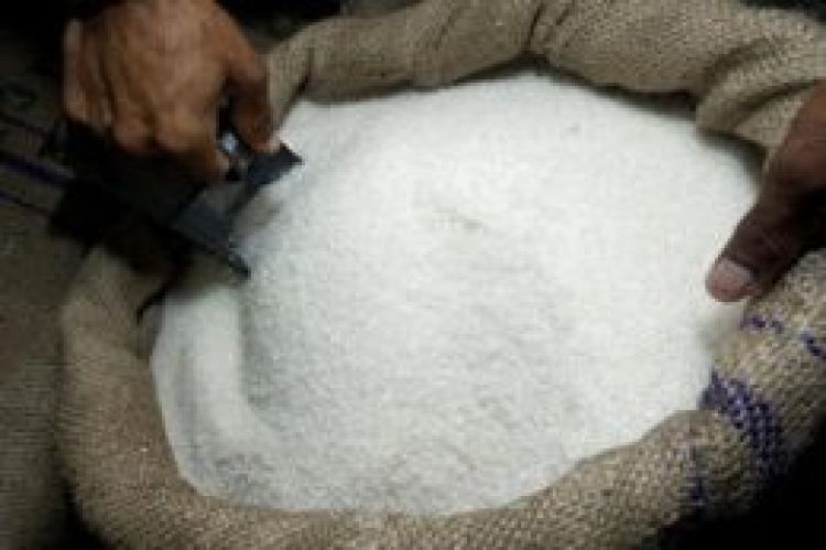 ثبت‌سفارش شکر آغاز شد  