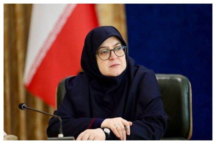مهاجرانی: دولت در موعد مقرر گزینه وزارت اقتصاد را معرفی می‌کند