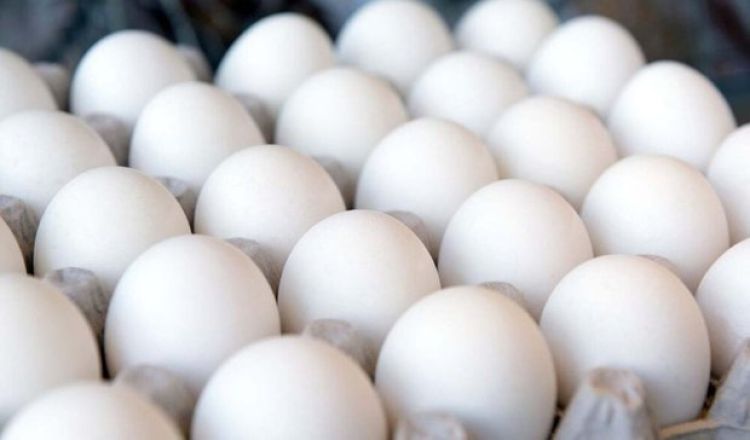قیمت تخم‌مرغ درب مرغداری به 79 هزار تومان رسید