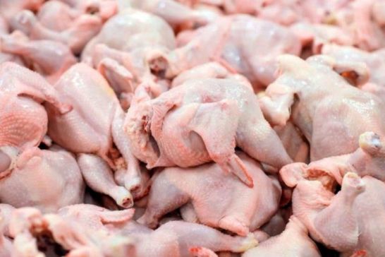 صادرات 4 هزار تن گوشت مرغ به کشورهای هدف/ برنامه افزایش تولید شتر در کشور